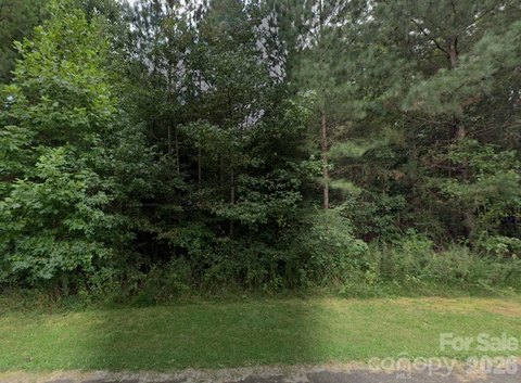 Wooded Lot in Pine Forest