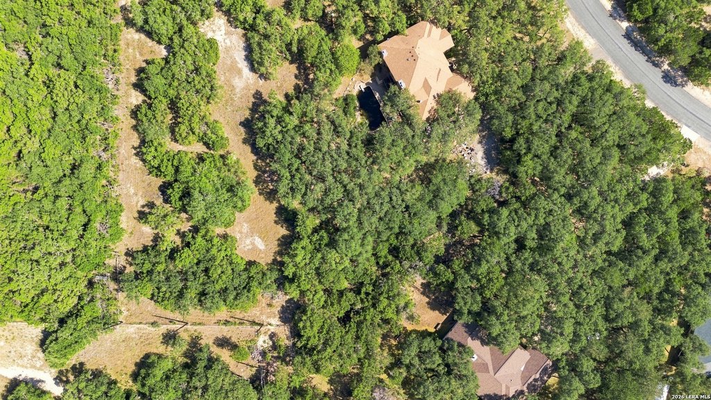 Picture 27