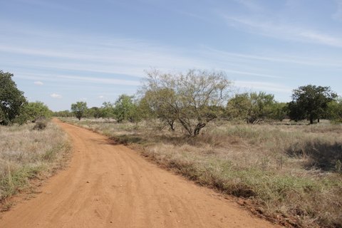 Recreational Land Tract with Views