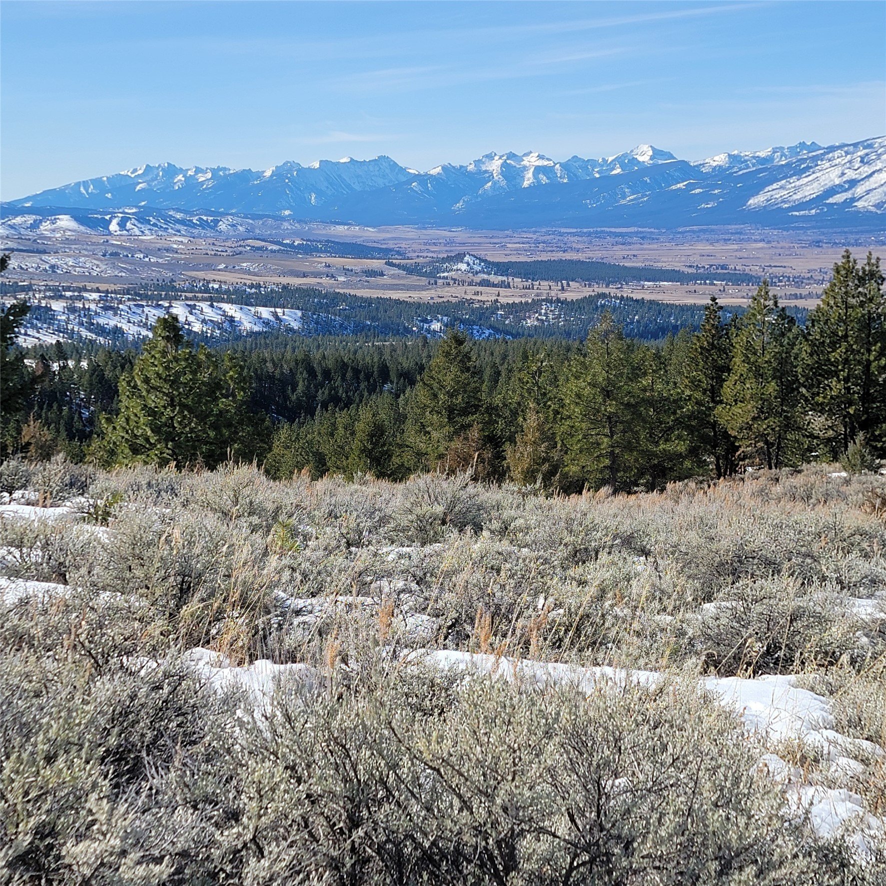 40 Acres in Corvallis, MT