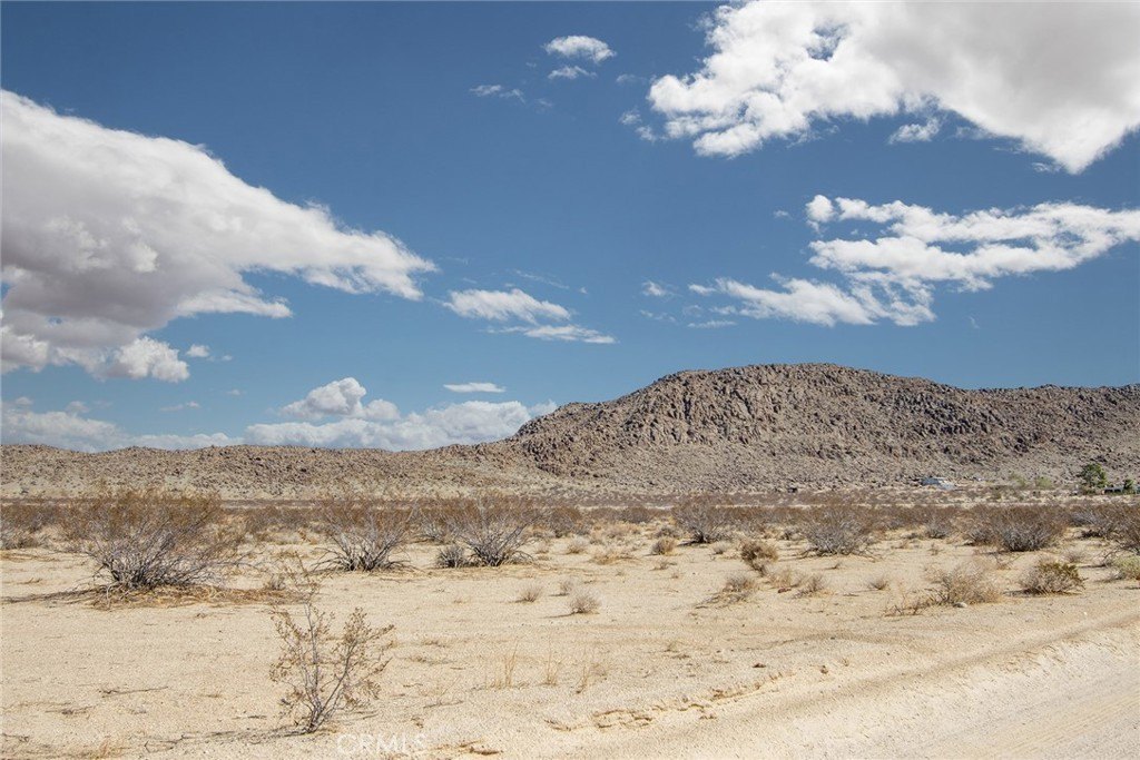 Picture 27
