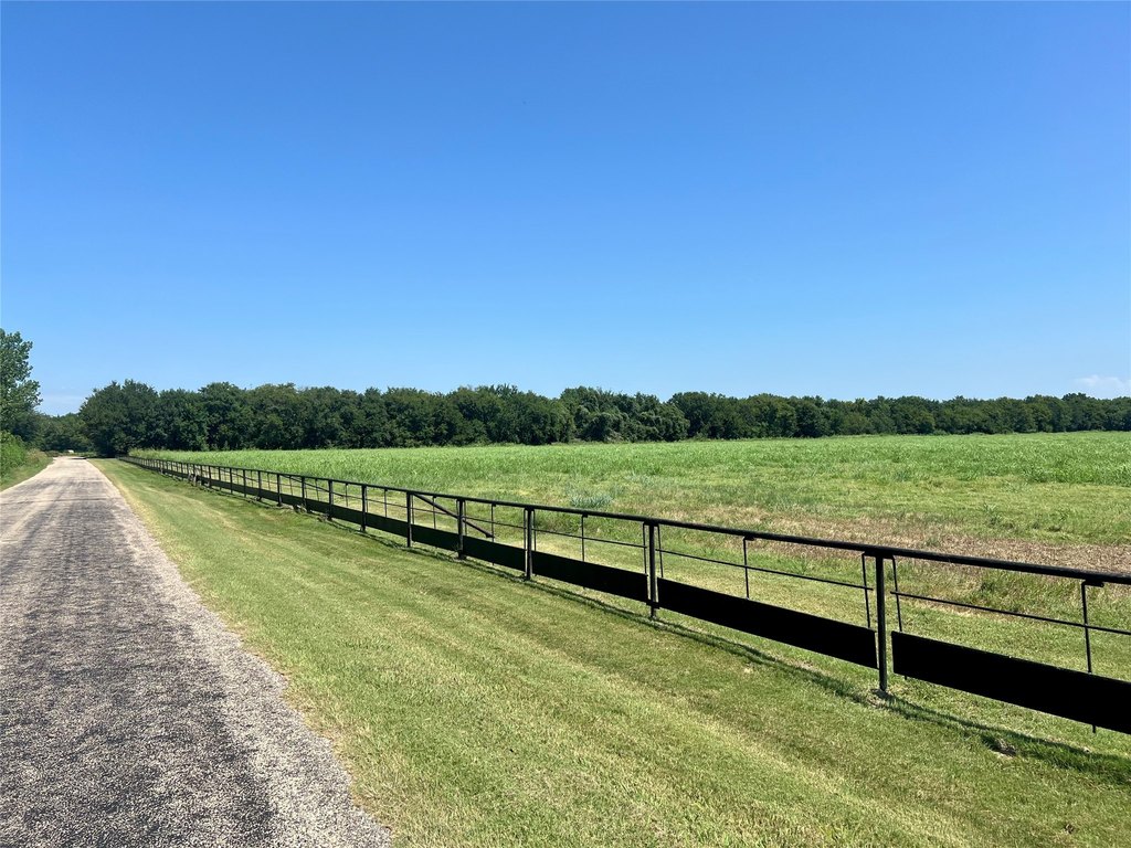 Picture 24