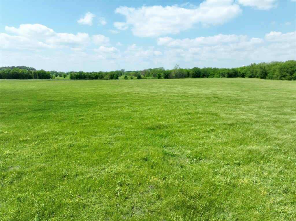 Picture 29