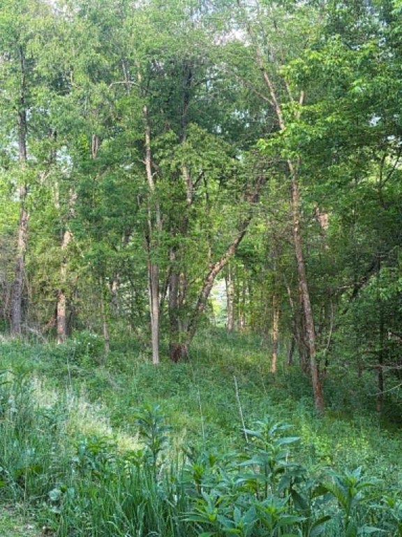 Picture 3