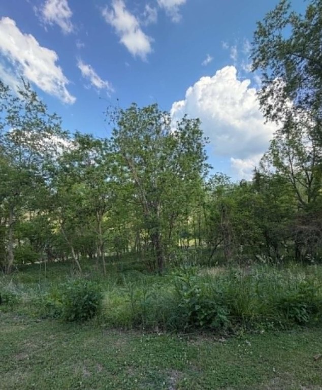 Picture 9