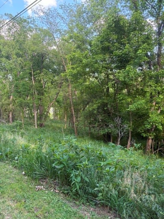 Picture 7