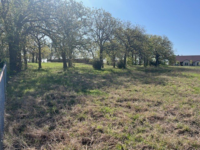 Picture 3