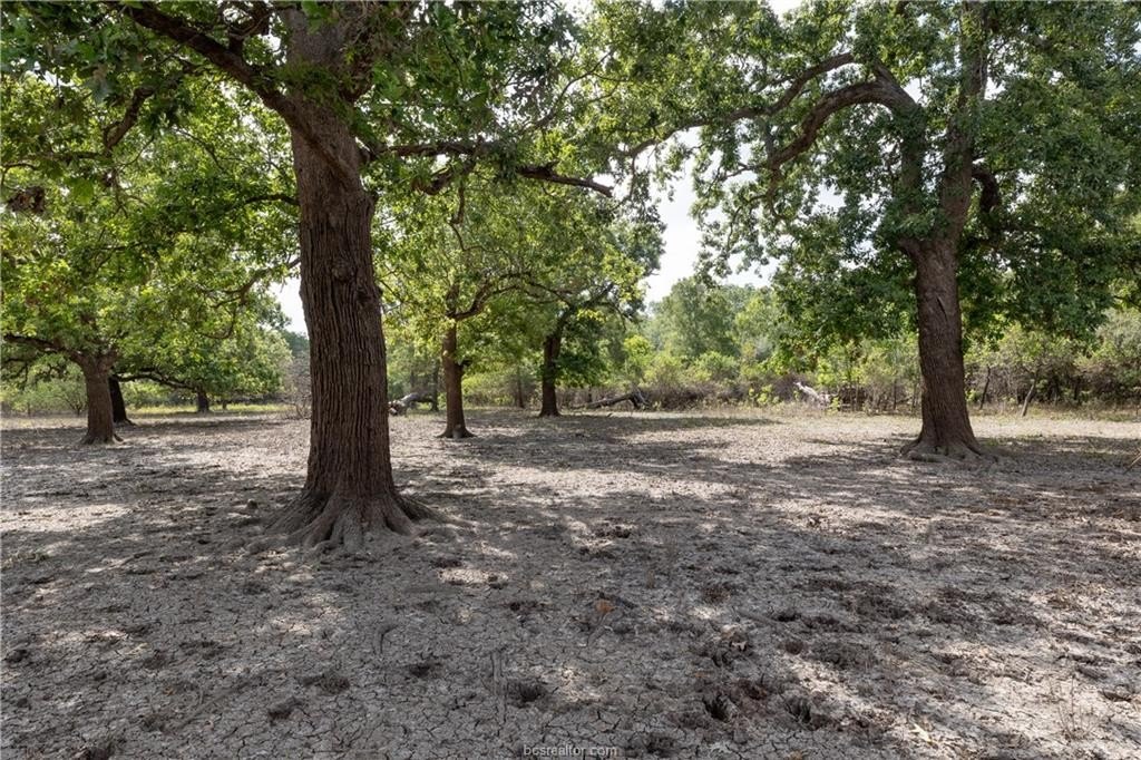 20 Acres of Rolling Hills