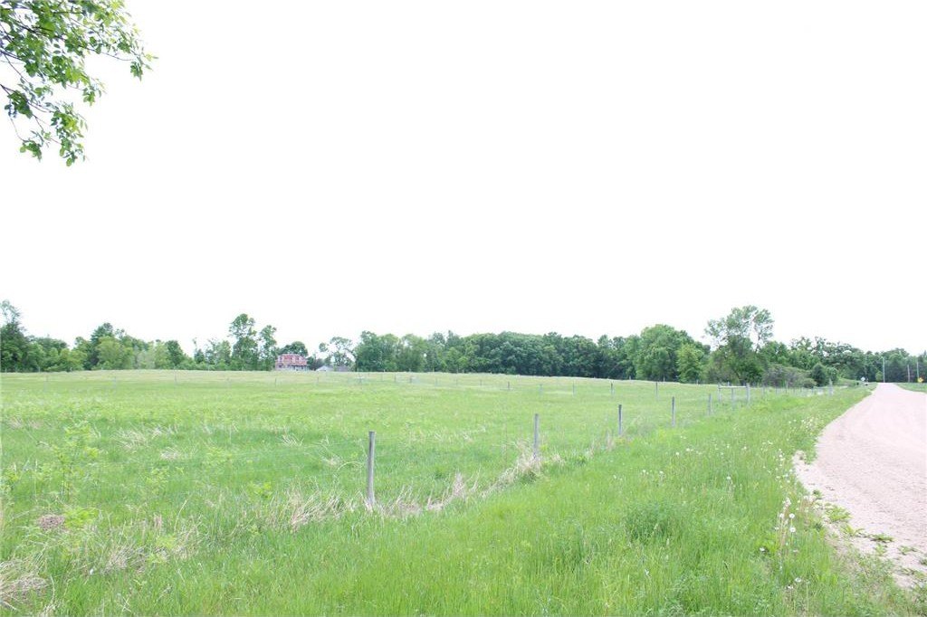 Picture 49