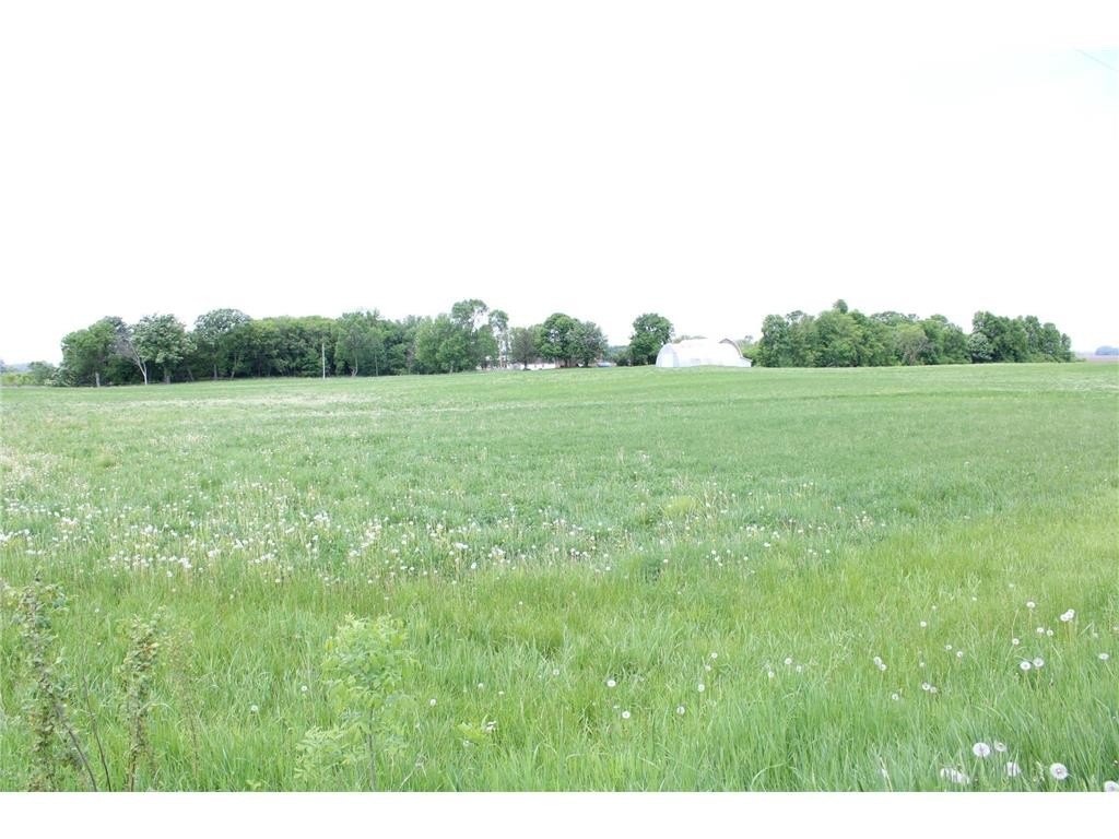 Picture 37