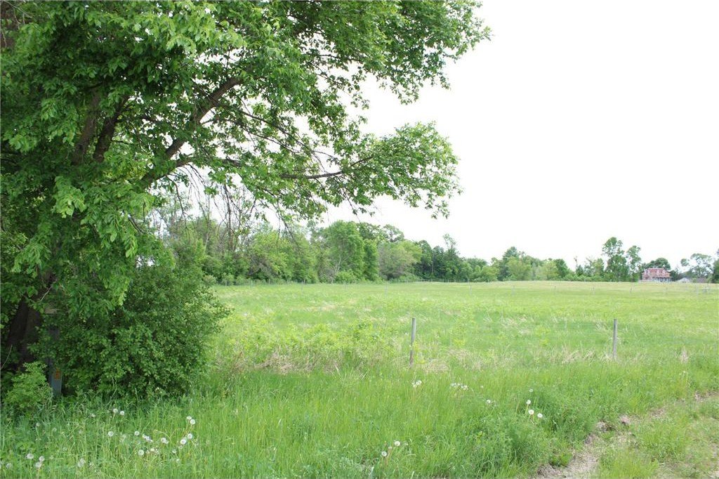 Picture 47