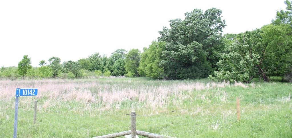 Picture 41