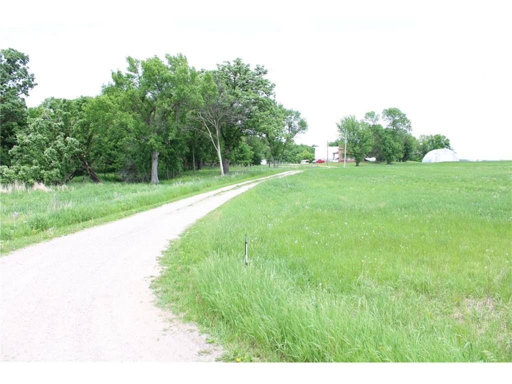 Picture 39