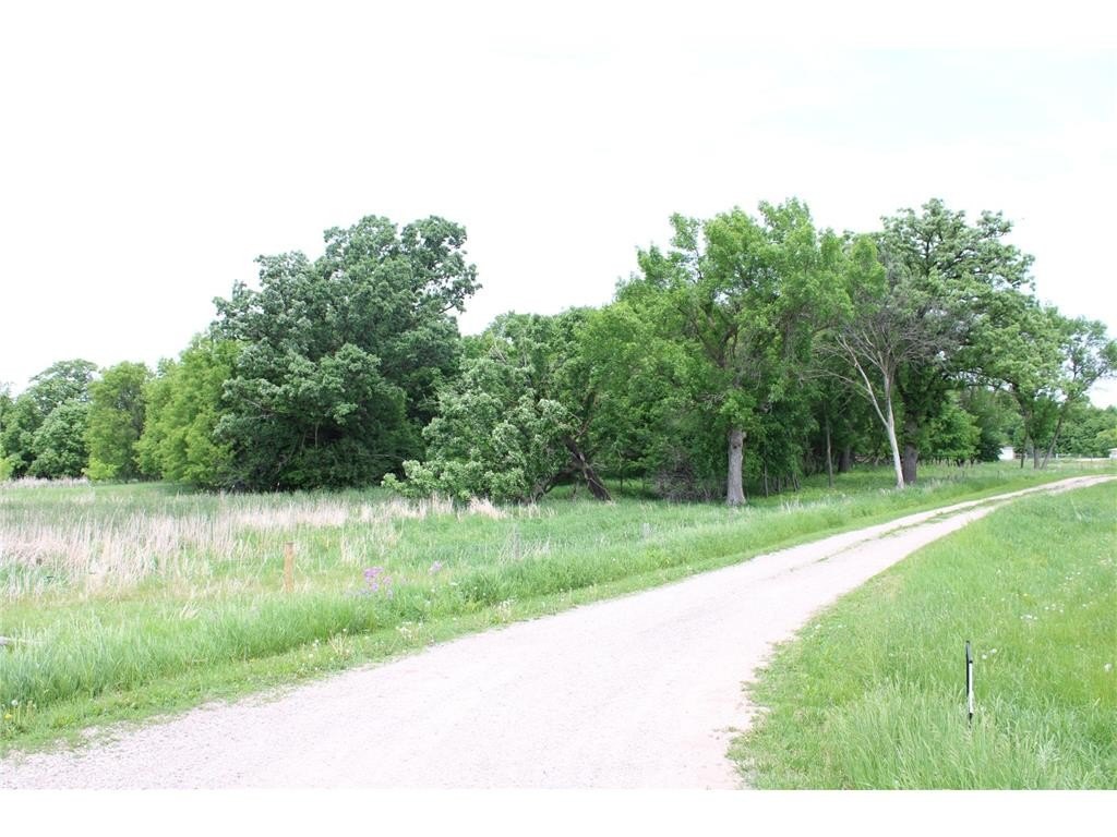 Picture 40