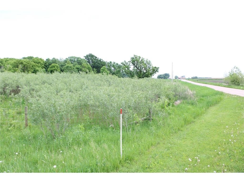 Picture 46
