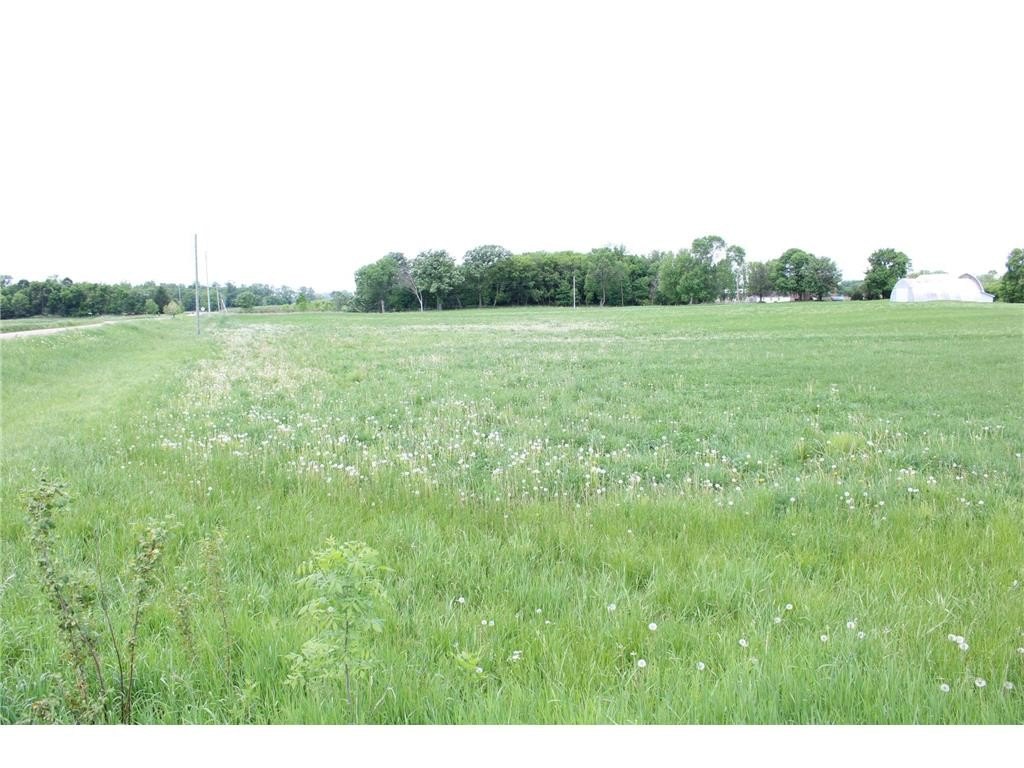 Picture 33