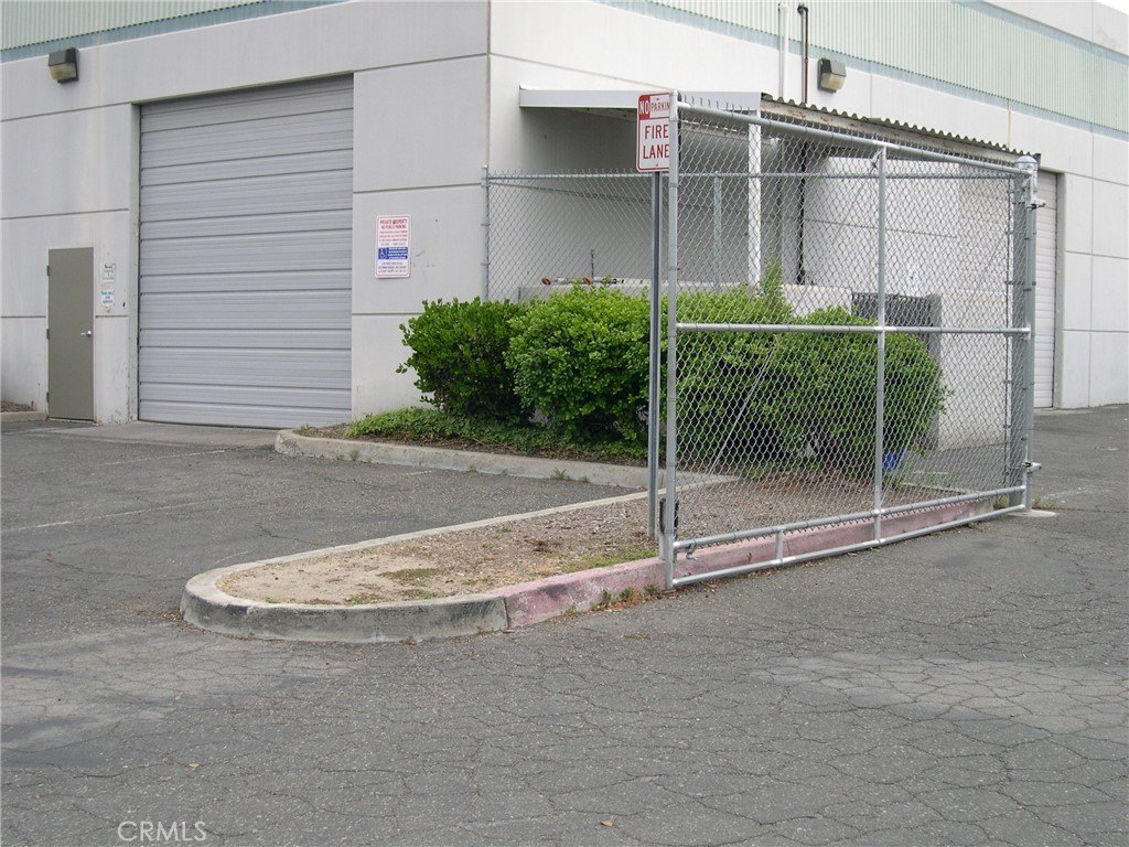 Picture 8