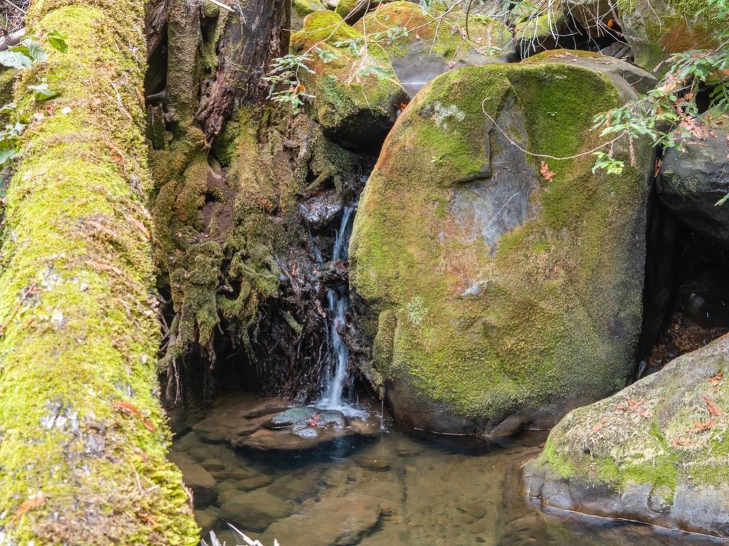 Picture 32
