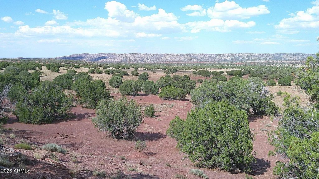 Picture 10