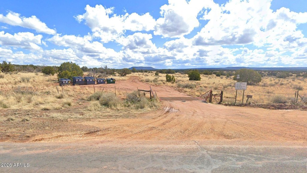Picture 8