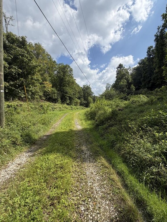 Picture 6