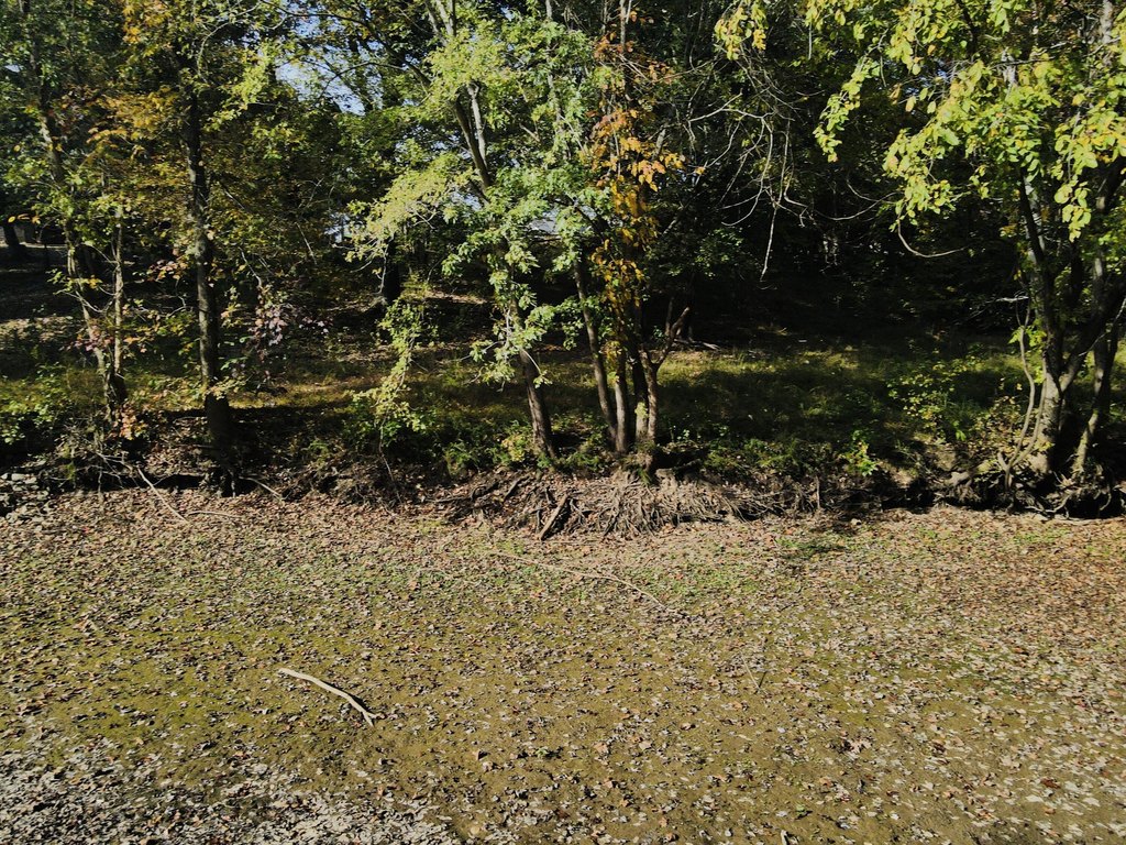Picture 21
