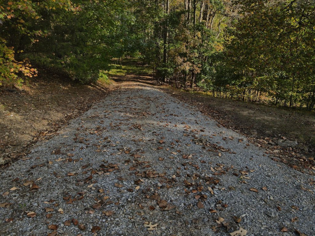 Picture 24