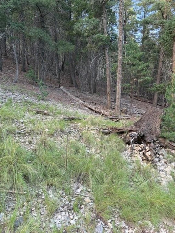 Picture 2