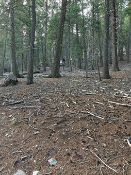 LAND - Cloudcroft, NM