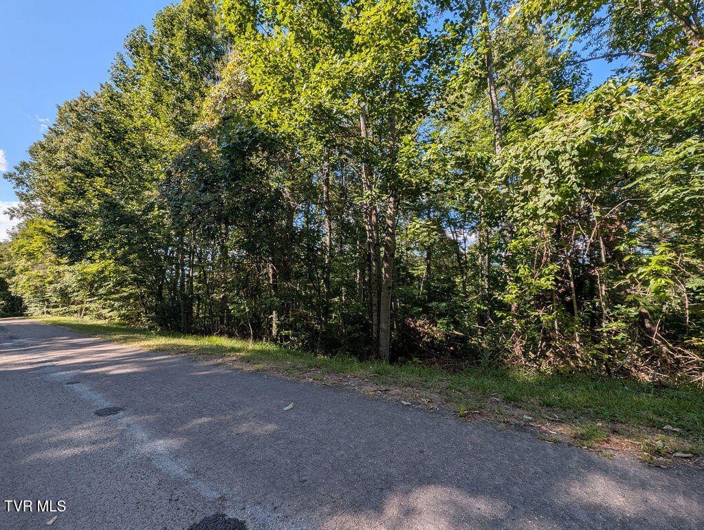 Wooded Lot in Mountain City