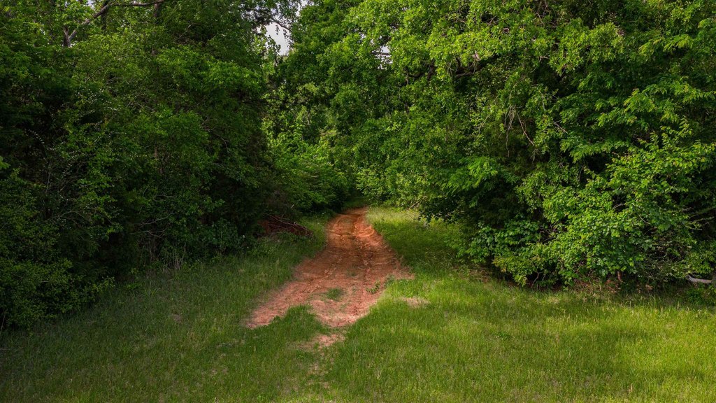 Picture 11