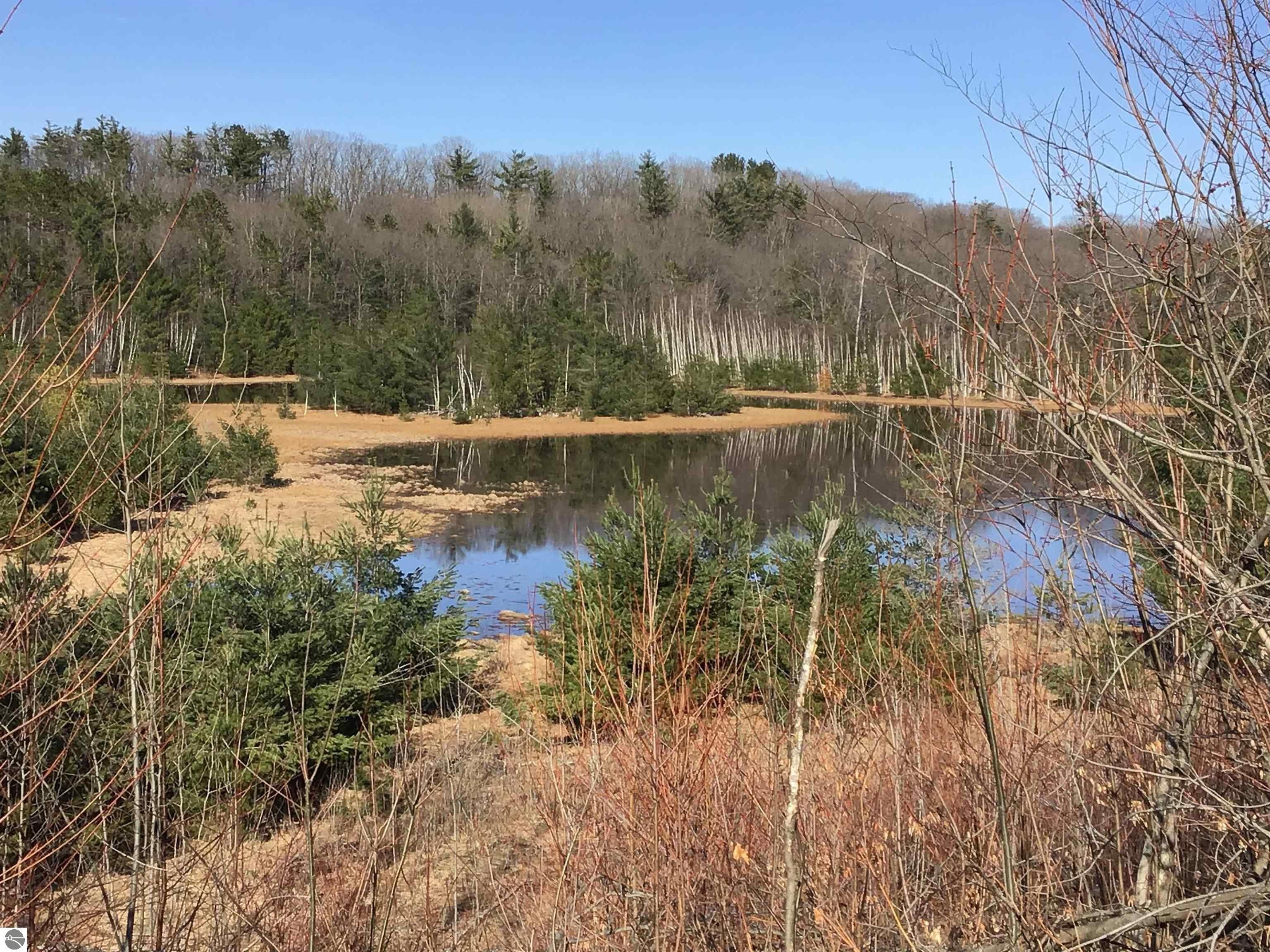80 Acres Recreational Land Near Cadillac