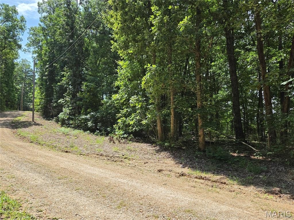 Picture 7