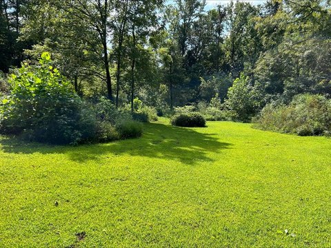 Unrestricted Land Near Cummins Falls