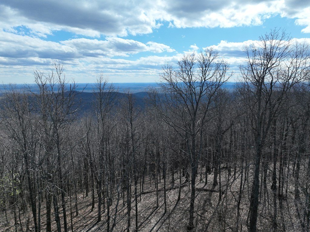 Picture 47