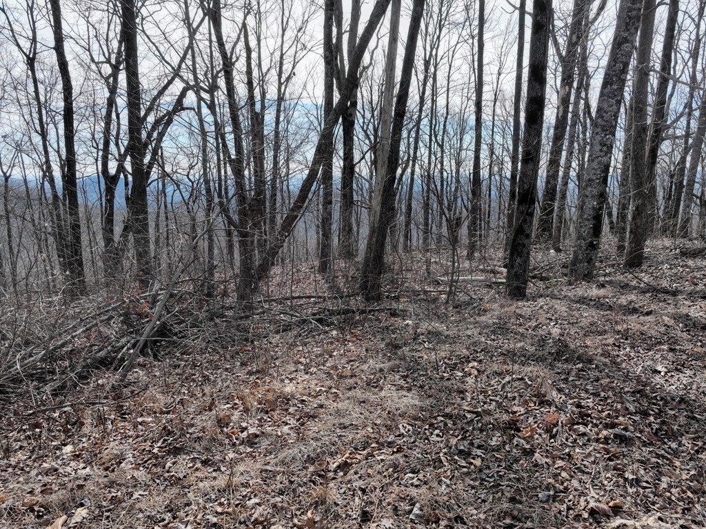 Picture 34