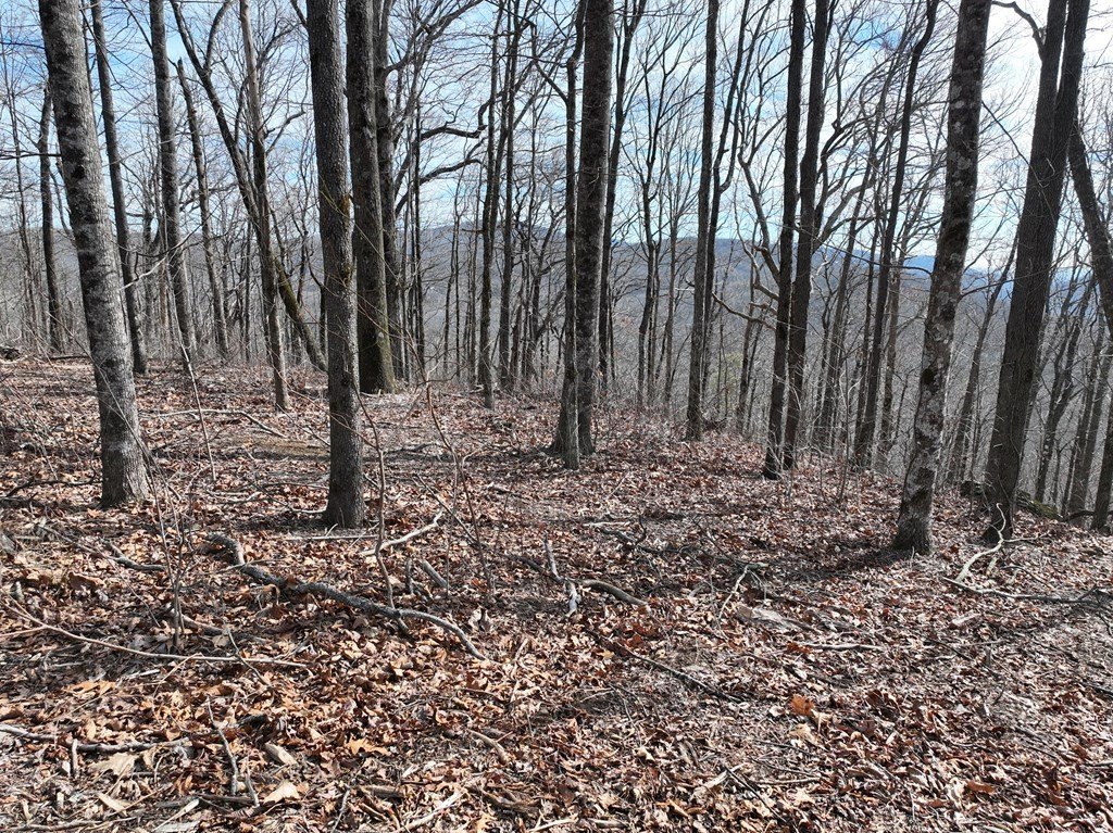 Picture 26