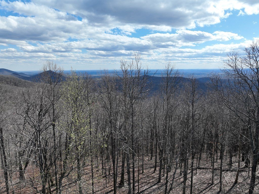 Picture 46