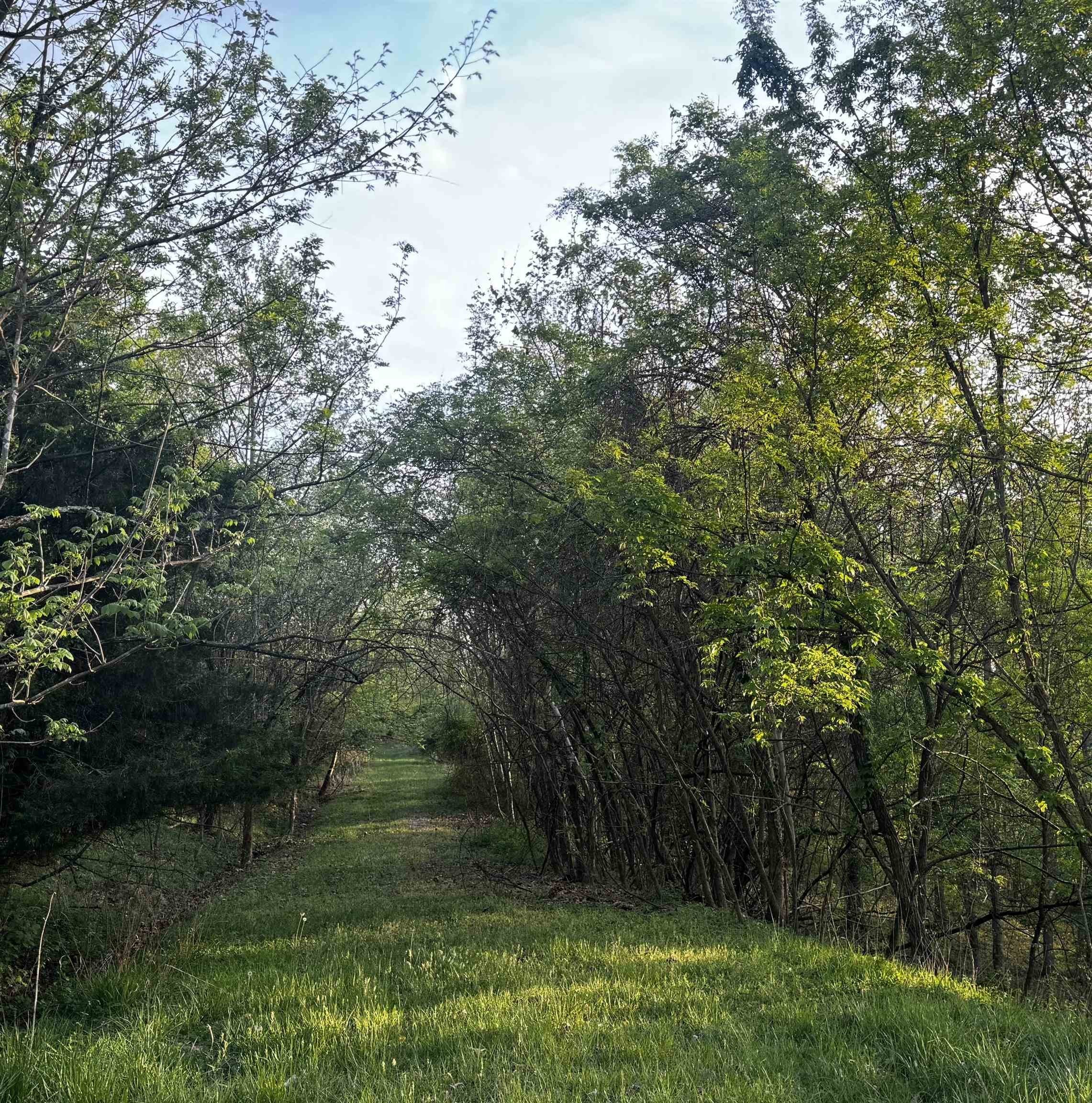 Residential Land in Huntington, WV