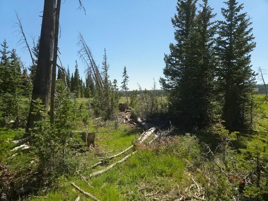 Picture 3