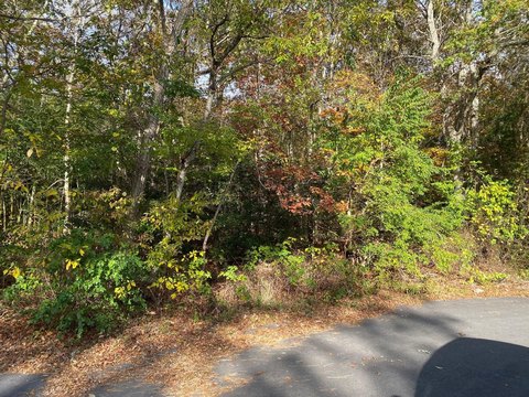 LAND - Mashpee, MA