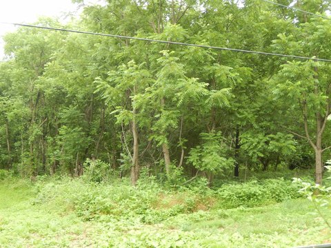 Agricultural Zoned Home Site Land