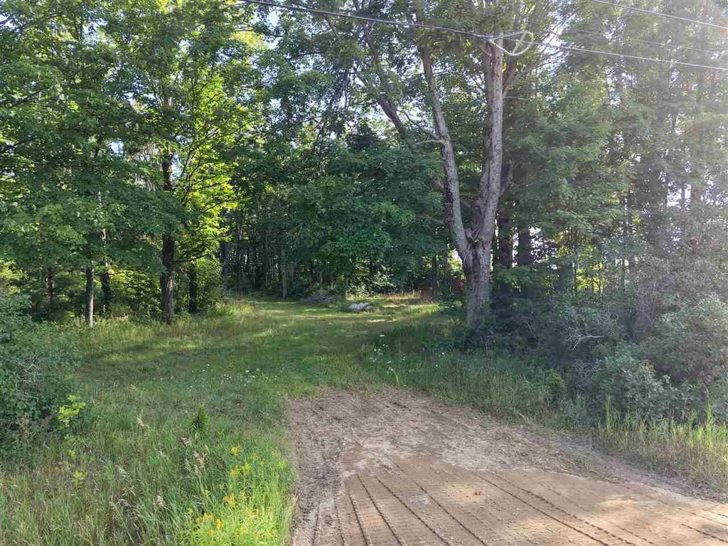 Picture 19