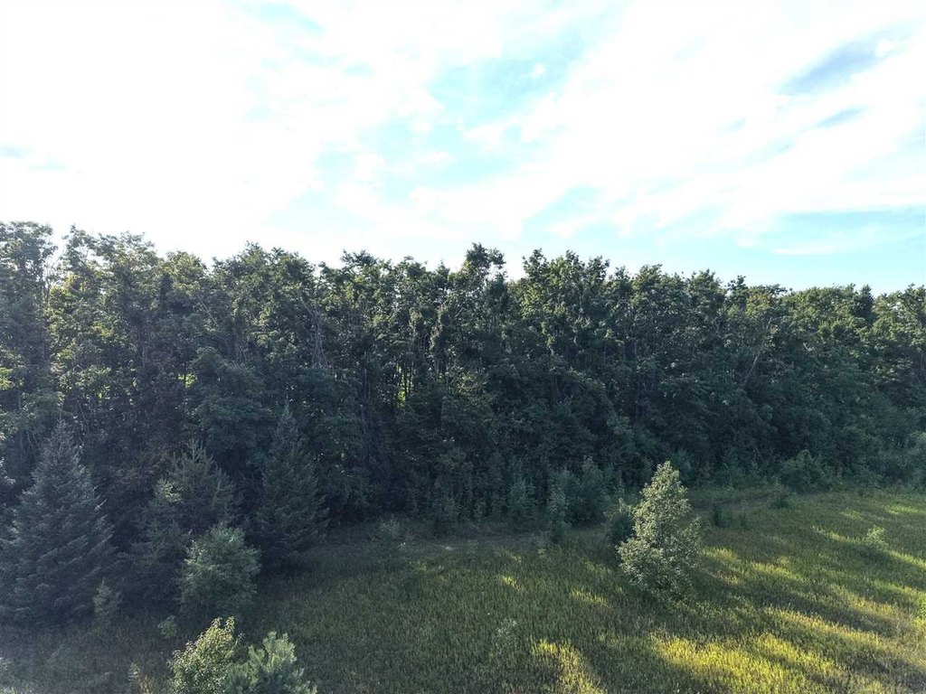 Picture 45