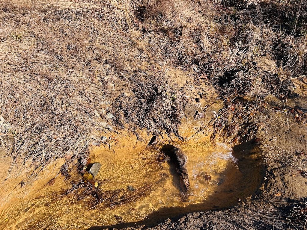 Picture 5