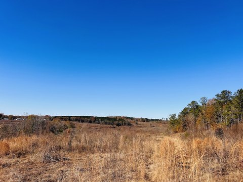 Timber, Creek, and Hunting Tract