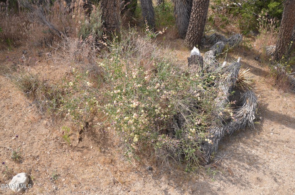 Picture 48