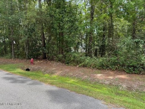 Wooded Lots in Bay Saint Louis