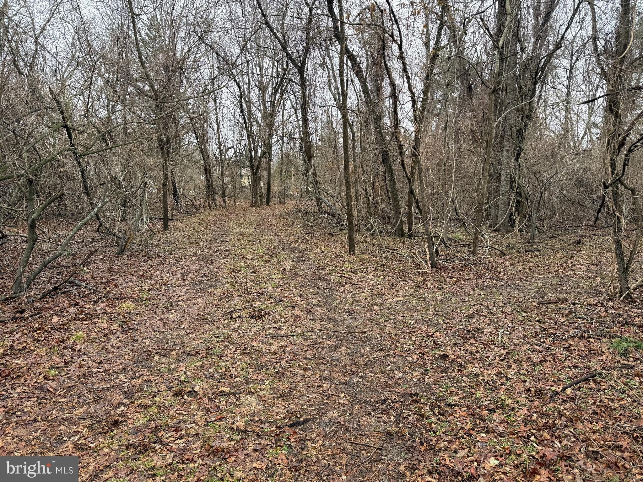 3.45 Acres in Hammonton, NJ
