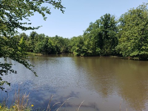Recreational Hunting & Water Land